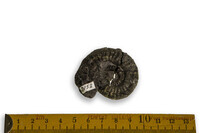 F 02152
<br/>
<br/>
<em></em>